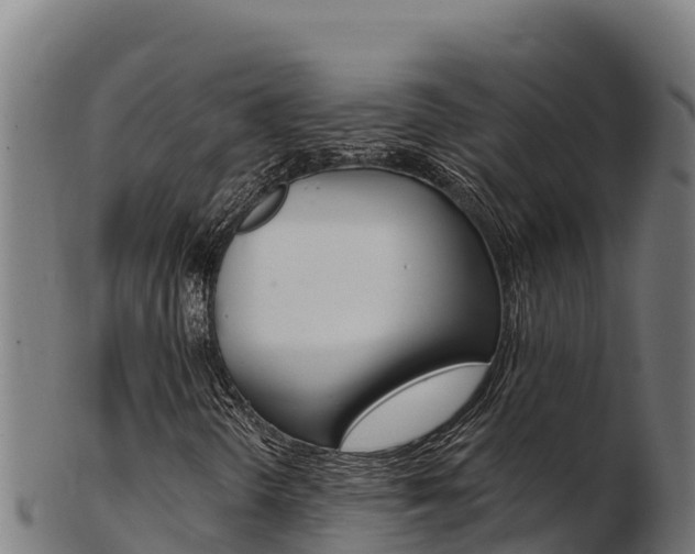 X0000103471298200809121111