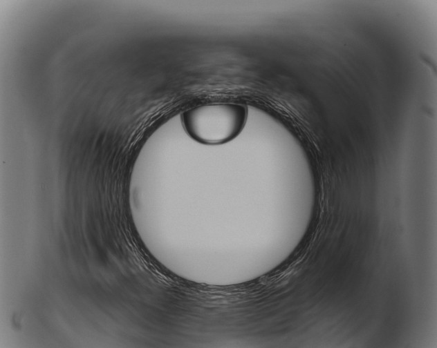X0000103471300200809121111