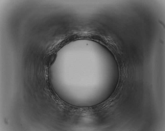 X0000103471301200809121111