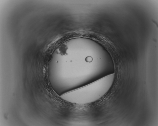 X0000103471302200809121111
