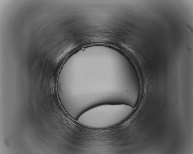 X0000103471306200809121111