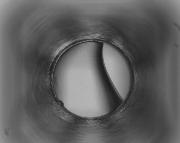 X0000103471308200809121111