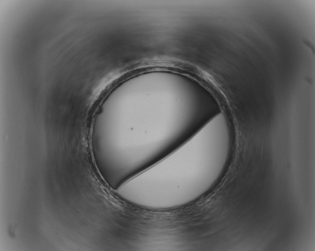 X0000103471312200809121111
