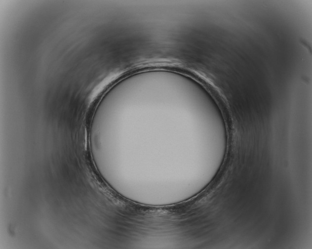 X0000103471317200809121111
