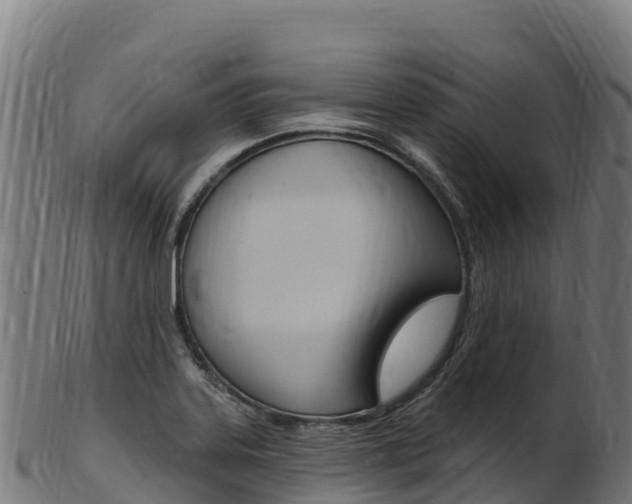 X0000103471323200809121111