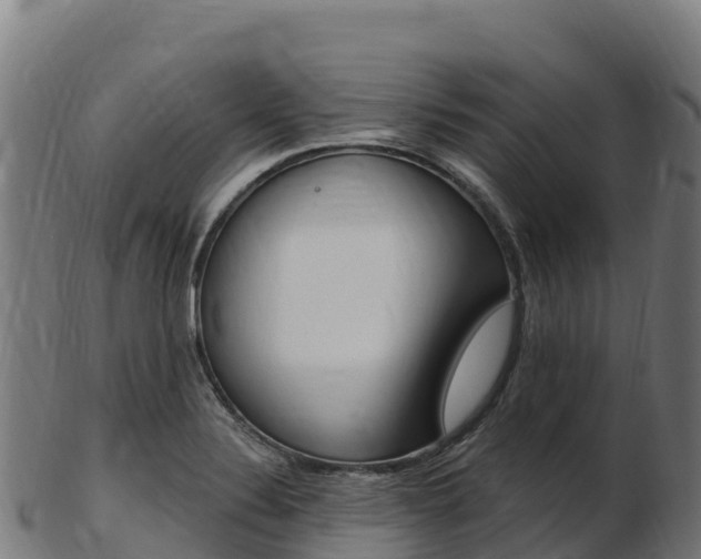 X0000103471324200809121111