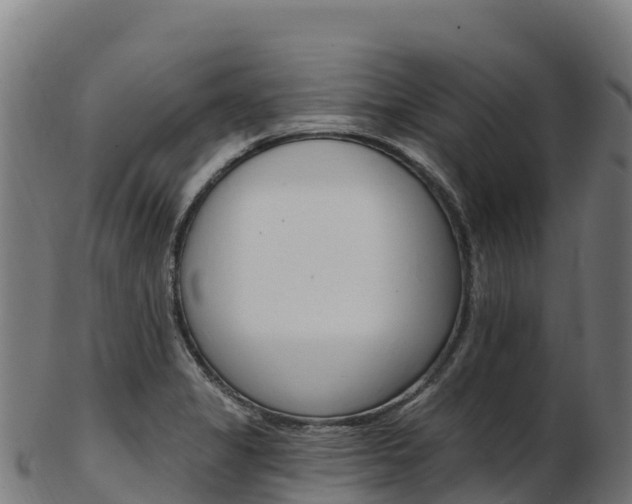 X0000103471325200809121111