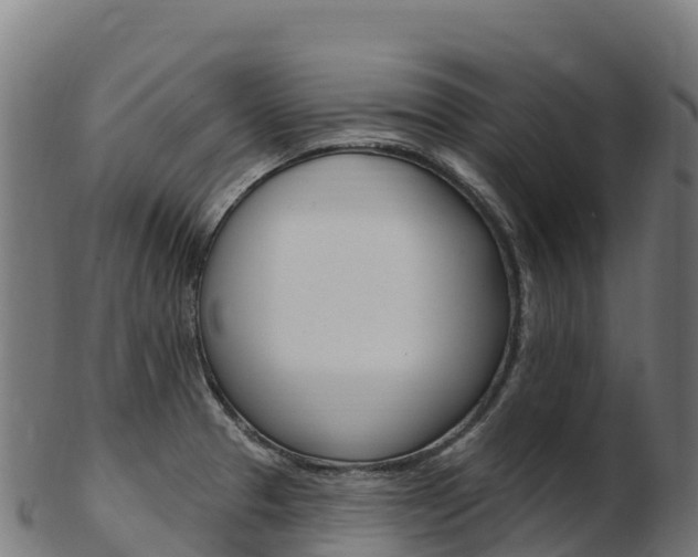 X0000103471329200809121111