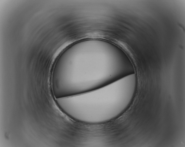 X0000103471331200809121111
