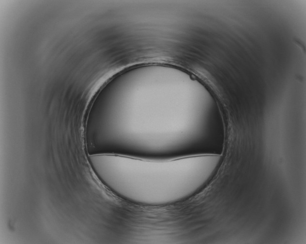 X0000103471332200809121111