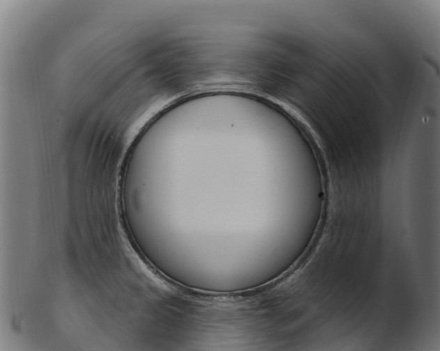 X0000103471333200809121111