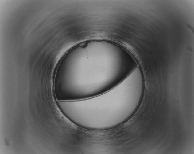 X0000103471334200809121111