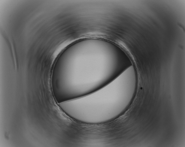 X0000103471336200809121111