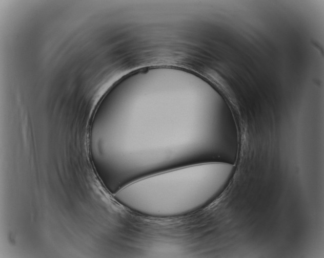 X0000103471340200809121111