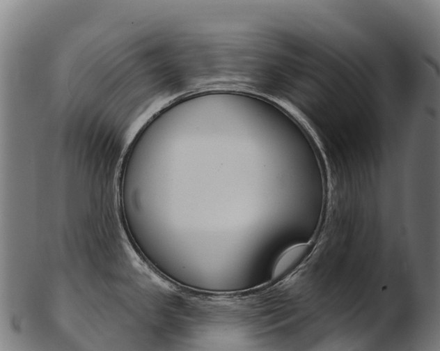 X0000103471341200809121111