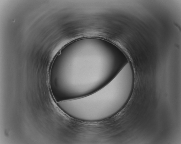 X0000103471342200809121111