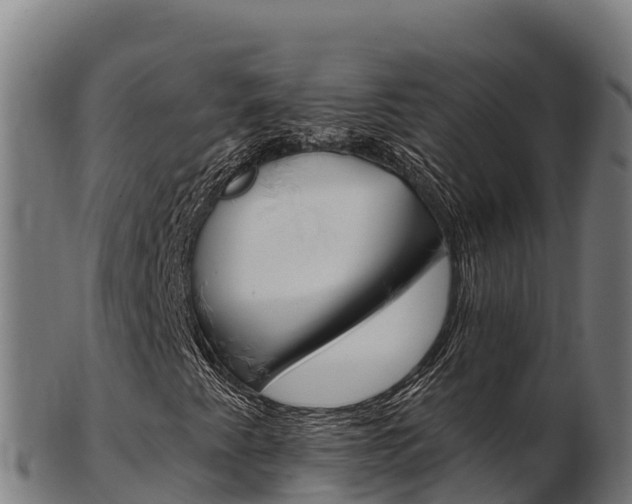 X0000103471345200809121111