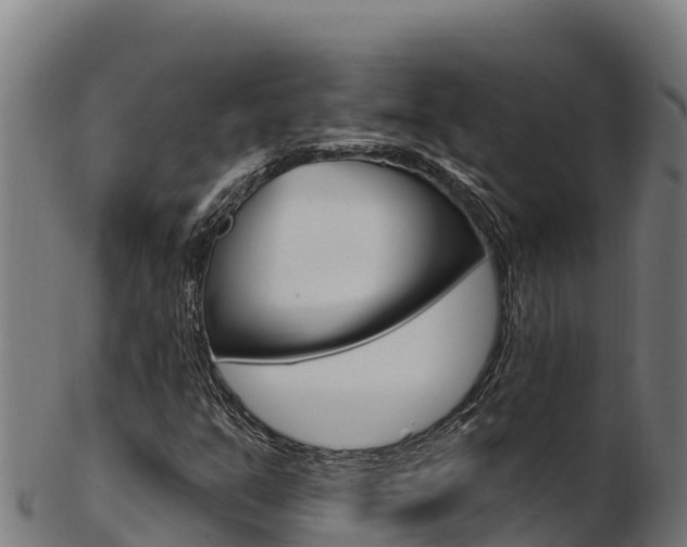 X0000103471351200809121111