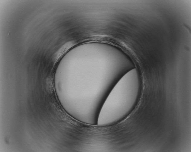 X0000103471362200809121110