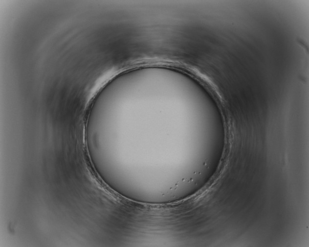 X0000103471365200809121110