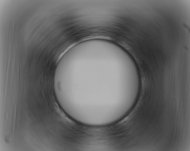 X0000103471369200809121110