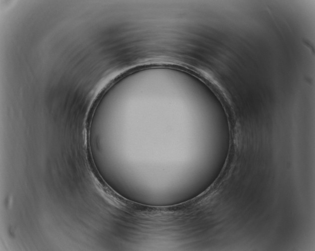 X0000103471372200809121110