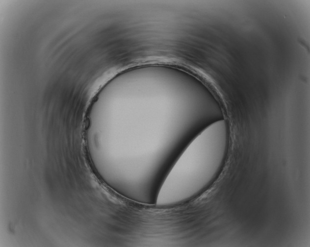 X0000103471373200809121110