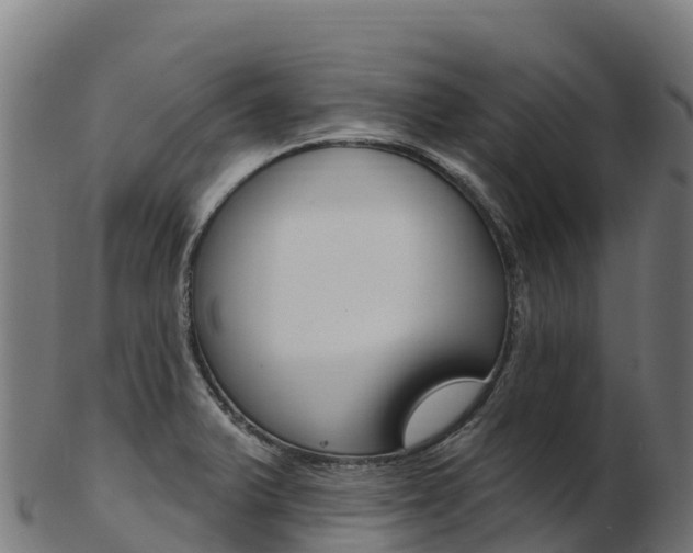 X0000103471375200809121110