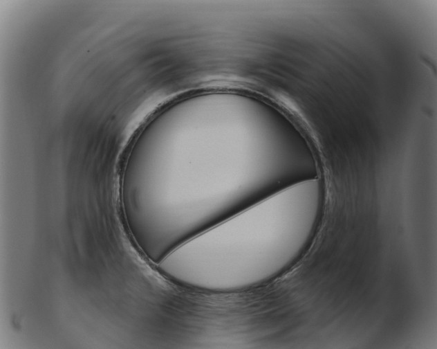 X0000103471376200809121110