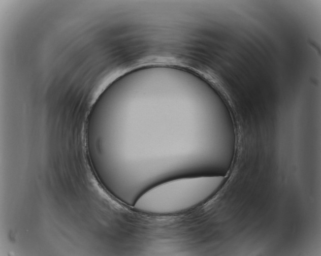 X0000103471382200809121110