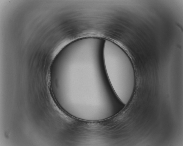 X0000103471383200809121110