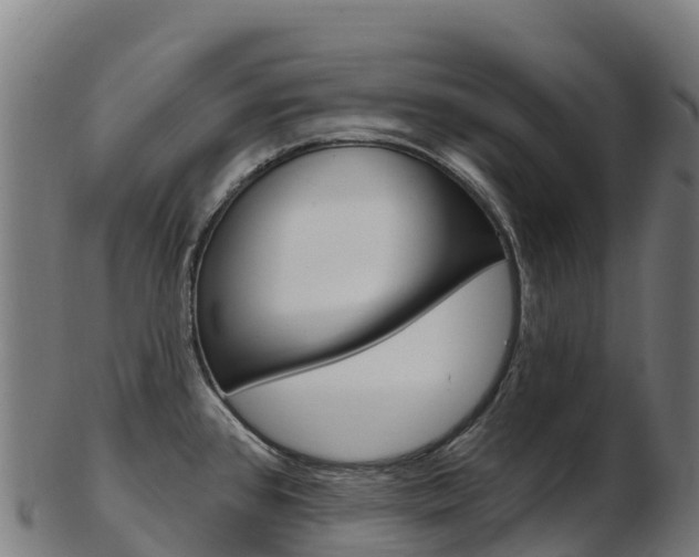 X0000103471384200809121110