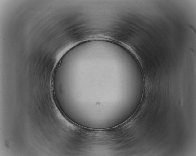 X0000103471387200809121110