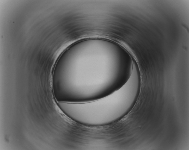 X0000103471388200809121110
