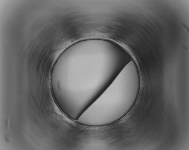 X0000103471390200809121110