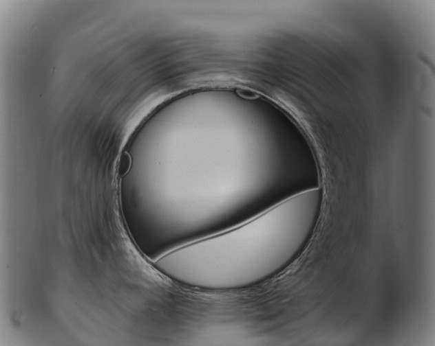 X0000103471392200809121110