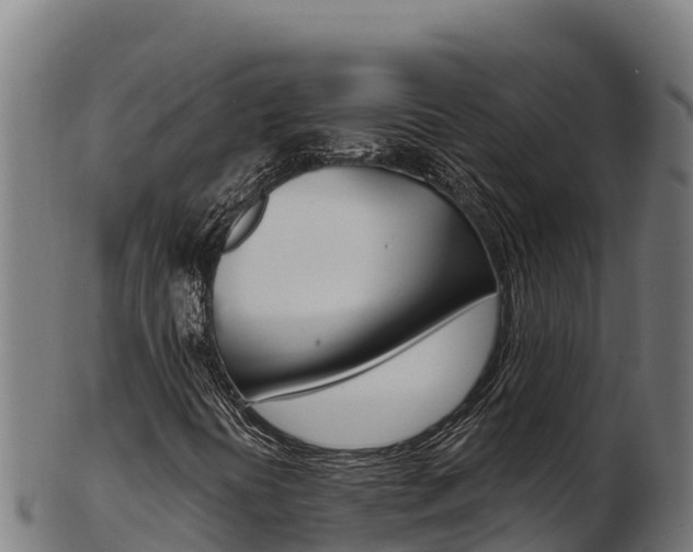 X0000103471394200809121109
