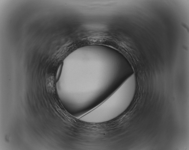 X0000103471396200809121109