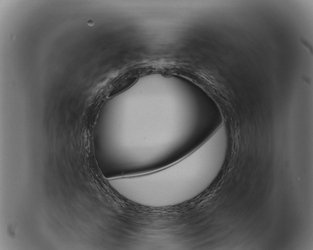 X0000103471398200809121109