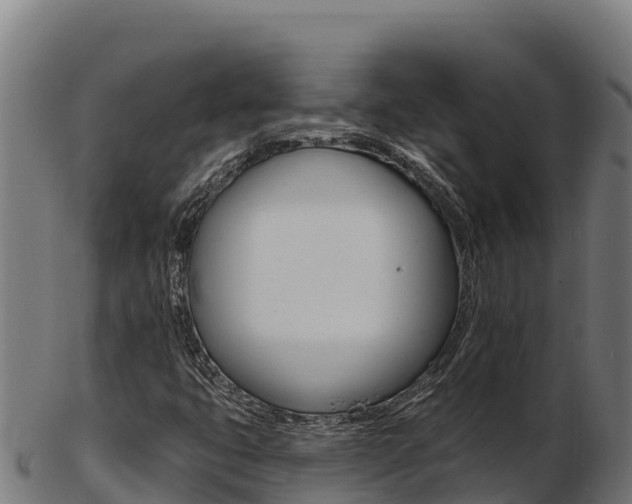 X0000103471399200809121109