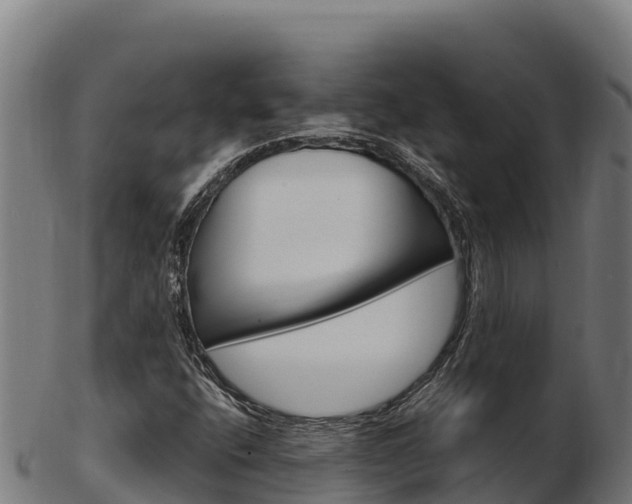 X0000103471400200809121109