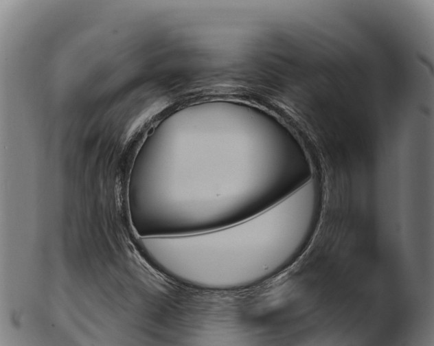 X0000103471402200809121109