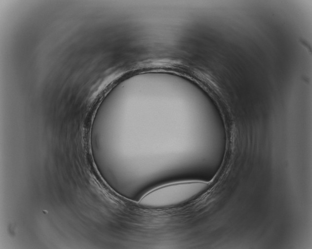 X0000103471404200809121109