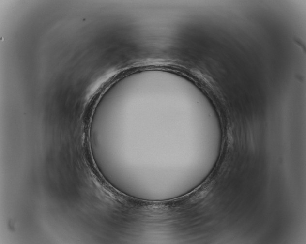 X0000103471406200809121109