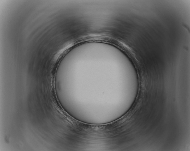 X0000103471411200809121109
