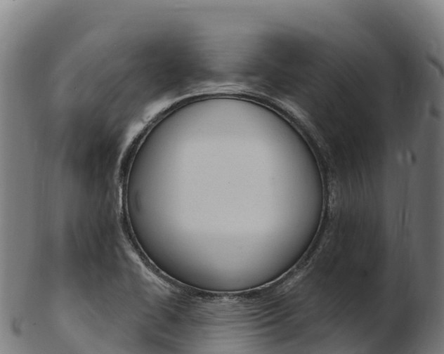 X0000103471414200809121109