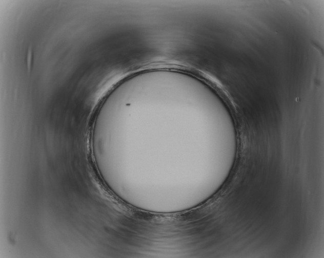 X0000103471415200809121109