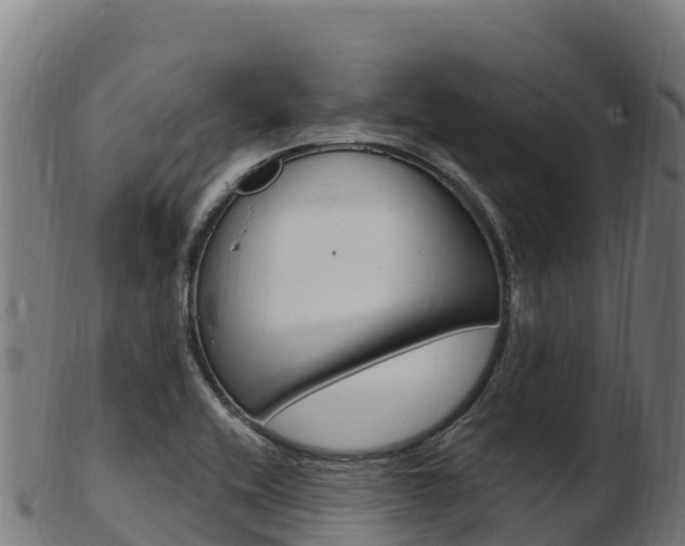 X0000103471416200809121109