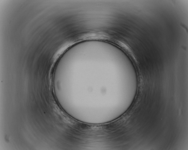 X0000103471419200809121110