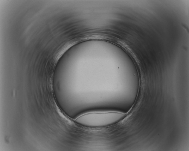 X0000103471433200809121110